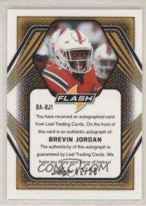 Brevin Jordan