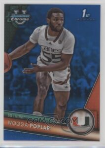 Wooga Poplar