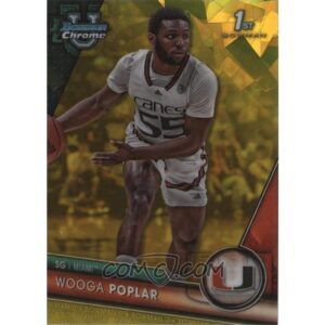 Wooga Poplar