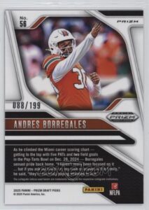 Andres Borregales