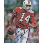 Vinny Testaverde